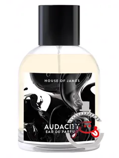 آداسیتی هاوس آف جیمز | audacity house of james
