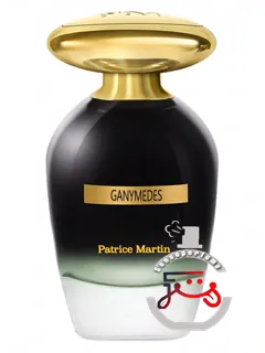 گانیمد پاتریس مارتن | ganymedes patrice martin