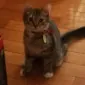 Can I smell this?