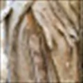 Paperbark