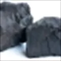 Coal