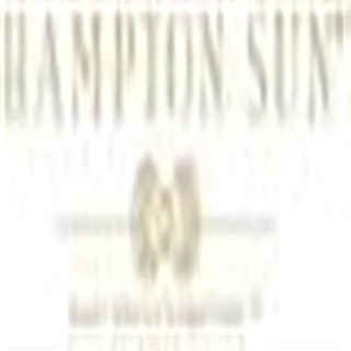 hampton sun