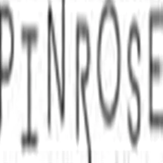 pinrose