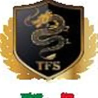 tfs