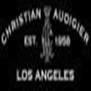 christian audigier