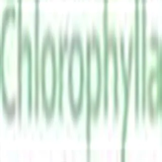 chlorophylla