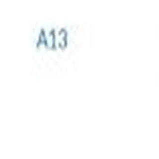 a13