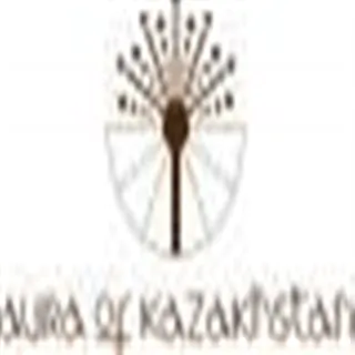 aura of kazakhstan