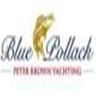 blue pollack