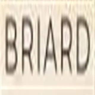 briard